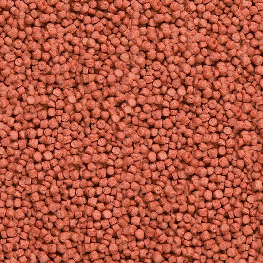 Sera Koi Royal Mini Fischfutter Für Süßwasserfische In Granulat 1000ml