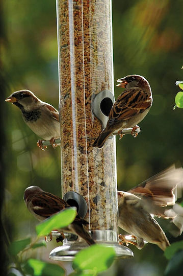 Garden&Fun Bird Feeder