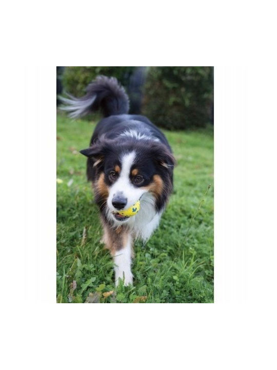 Nobleza Hundespielzeug Kugel Kauen 6,3cm 1Stück