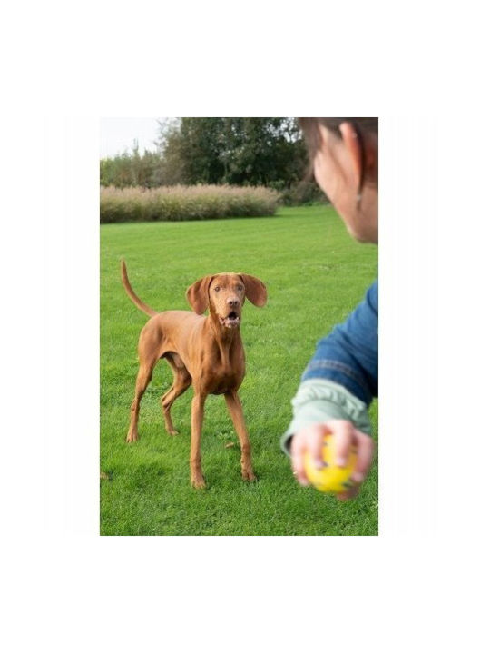 Nobleza Hundespielzeug Kugel Kauen 6,3cm 1Stück