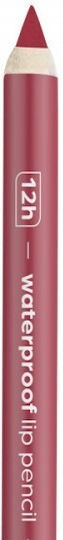 Lorin Creion De Buze Lip Pen