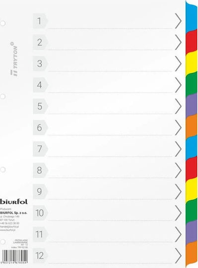 Biurfol Dosar Pentru Hârtie A4 Multicolor 12 Bucăți