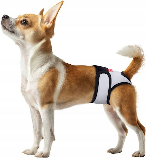 WauDog Dog Panties 1pc