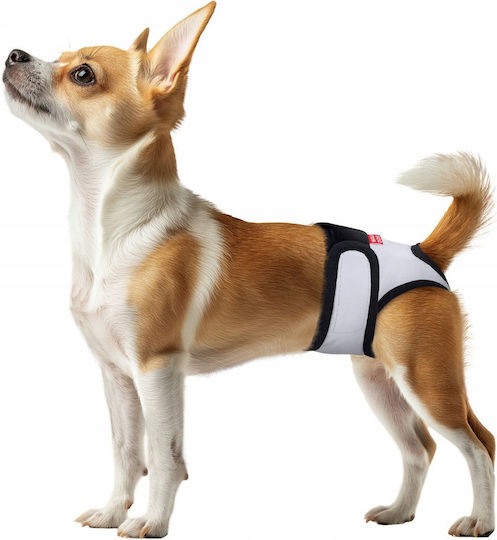 WauDog Dog Panties 1pc