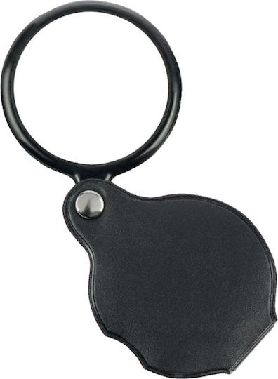 Grand Hand Magnifying Lens