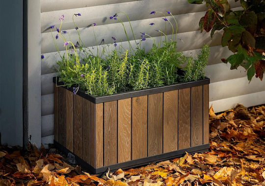 Keter Ghiveci de flori Ashwood 45.5cm