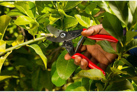 Felco Bahco Gartenschere mit Maximaler Schnittdurchmesser 25mm