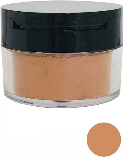 Elizabeth Arden Pudră Loose Powder High Performance Blurring 04 Medium Deep 17.5gr