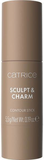 Catrice Cosmetics Контур Стик 010 Ash 5.5гр