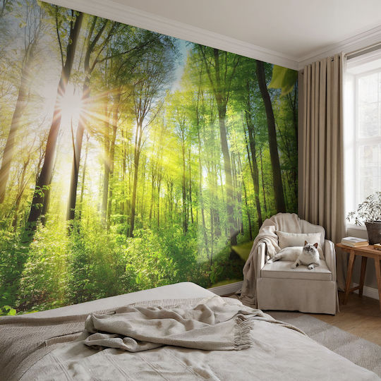 Tapet Autocolant De Perete 416x254cm