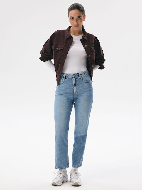 ALODI 264 Pantaloni Jean de Damă cu Croială Regulară