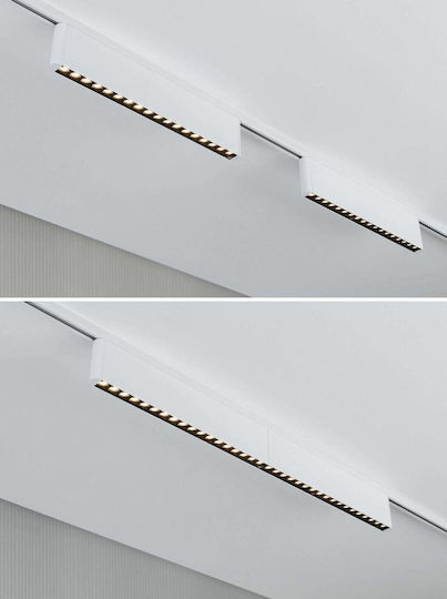 Paulmann LED Warmes Weiß Decken- und Wandleuchte in Weißer Farbe
