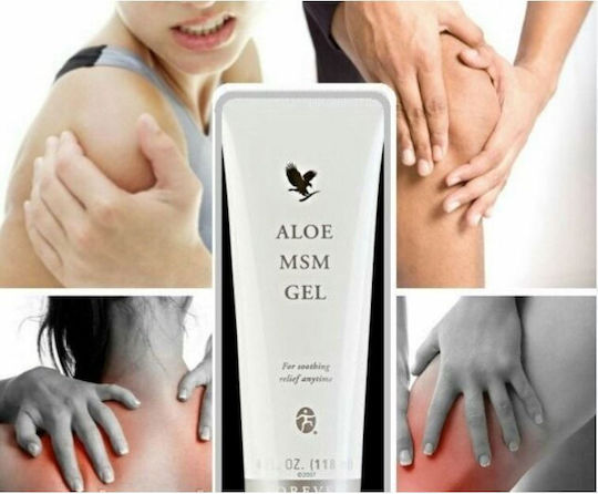 Forever Aloe MSM Gel Für Muskeln Knochen & Gelenke 118 Ml