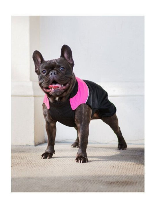 Chaba Full Body Dog Clothing In Black Colour XSmall Chaba Full Body Dog Clothing In Black Colour XSmall