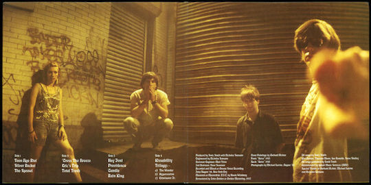 Sonic Youth Daydream Nation Vinyl