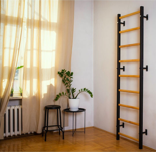 BenchK Klimmzugstange Wand für Benutzer bis 150kg