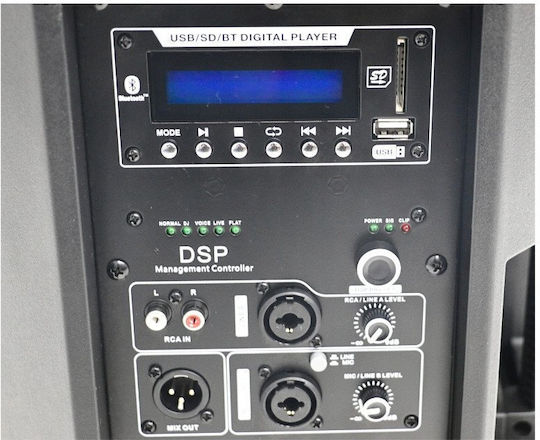 DNA Активен Високоговорител 250W с Bluetooth Единична Бройка 28.8x52x30см Черен