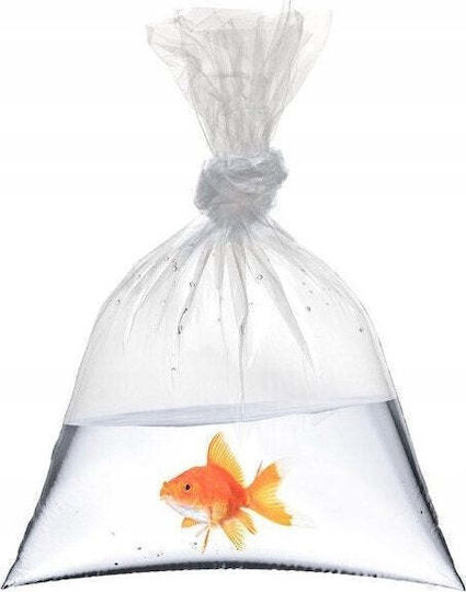 Happet Transportbeutel Für Fische 20x50 100 Stück
