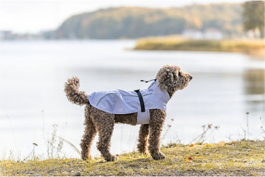 Trixie Vimy Dog Coat Waterproof Purple XS with Back Length 30 cm