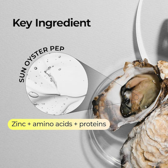 Oyster Peptide Anti-Aging Night Face Cream with Peptides 50ml