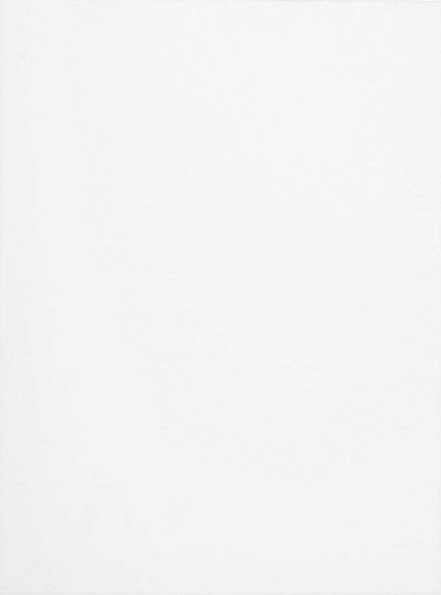 Starpak Leinwand Malerei 30x40 Stück Fol 20/40