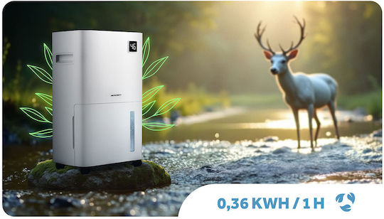 Berdsen BD-534 Αφυγραντήρας με Συμπιεστή και Wi-Fi 20lt