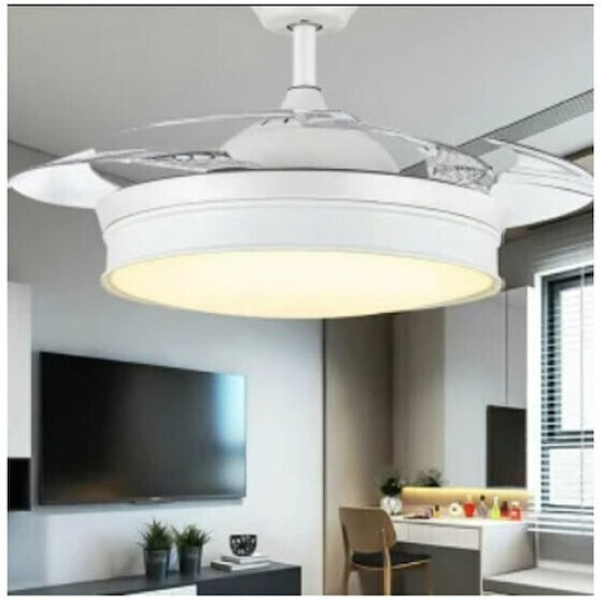Ceiling Fan with White Light Fixture