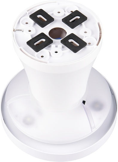 Trio Lighting Moss Deckenventilator 41cm mit Leuchte Weiß