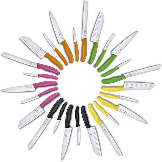 Victorinox Swiss Classic Knife General Use from Stainless Steel 10cm