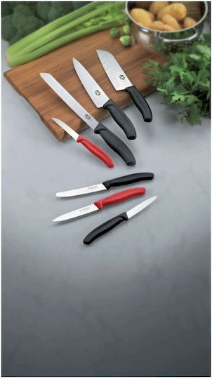 Victorinox Swiss Classic Knife General Use from Stainless Steel 10cm