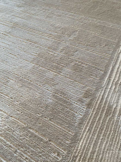 Covor Rectangular Bej 240x300cm