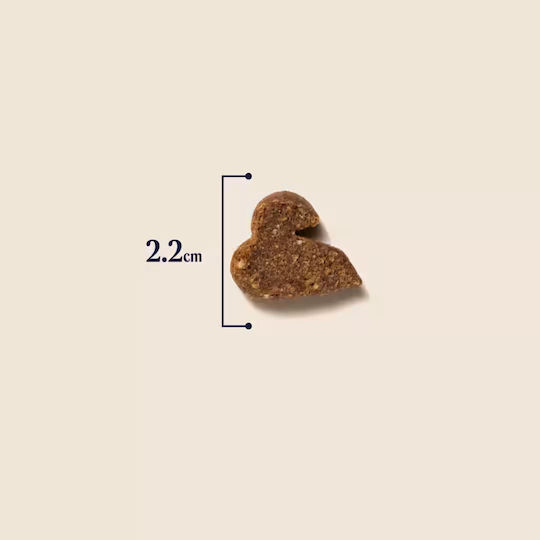 Pooch & Mutt Duck & Rosemary Chicken Dental Dog Treats 120gr