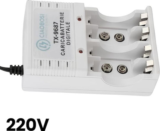 Avizar Încărcător de 4 Baterii de Dimensiune AA/AAA în Culoare Gri TX-9687