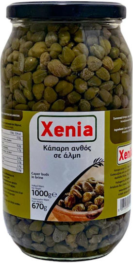 Xenia Kapern 1Stück