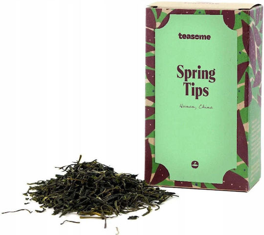 Teasome Green Tea 50g