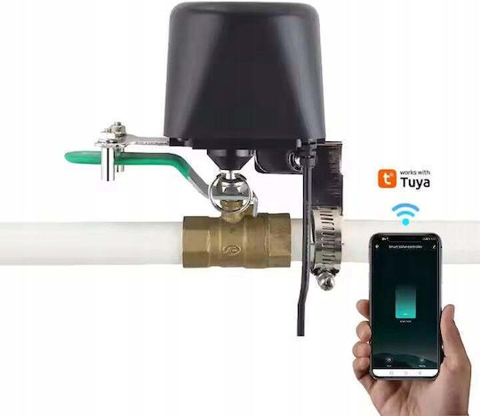 Έξυπνος Ελεγκτής Ηλεκτροβάνας Tuya Wi-fi & Bluetooth 12v