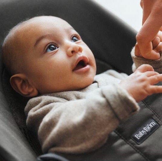 BabyBjorn Handbuch Baby Relax Balance Soft Dark Grey für Kind bis 13kg