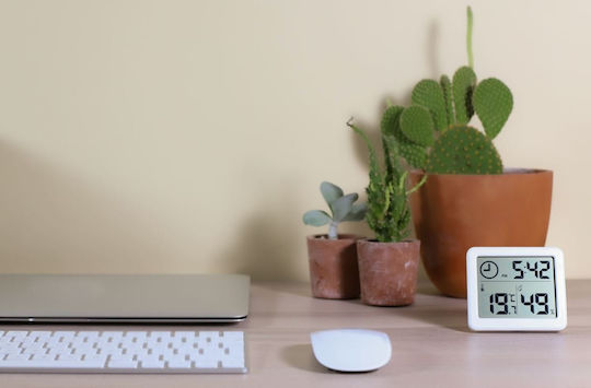 Sponge Digital Hygrometer for Indoor Use