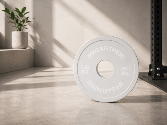 MegaFitness Weight Plate 1 x 1.25kg