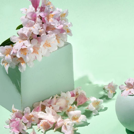 Jowae Sakura Water BB Крем за Лице Дневен за Хидратация и Несъвършенства 30ml