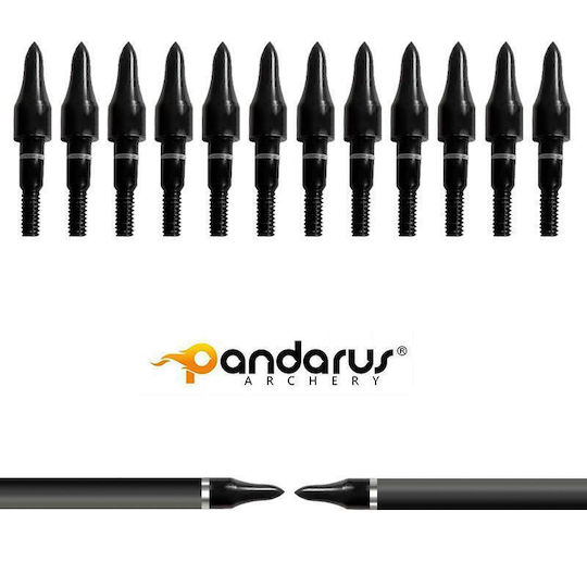 Set 9 Săgeți Arc Compus 6.2 Mm Tub Fibra De Carbon Spine 300 Lungime 32 Inch 27 Gr Săgeată Pandarus