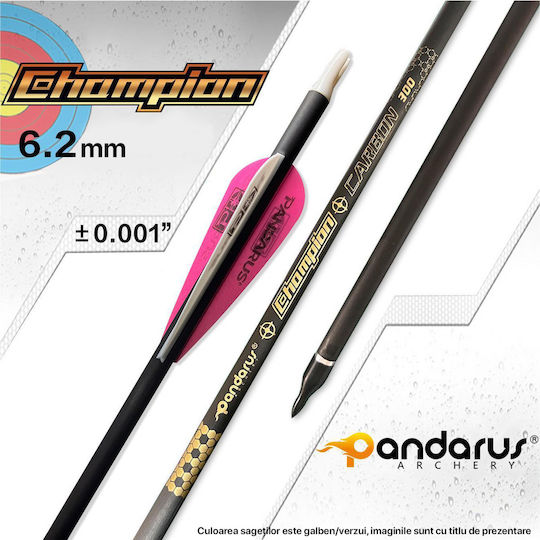Set 9 Săgeți Arc Compus 6.2 Mm Tub Fibra De Carbon Spine 300 Lungime 32 Inch 27 Gr Săgeată Pandarus