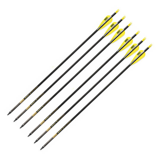 Set 6 Săgeți Arc Compus 6.2 Mm Tub Fibra De Carbon Spine 300 Lungime 32 Inch 27 Gr Săgeată Pandarus