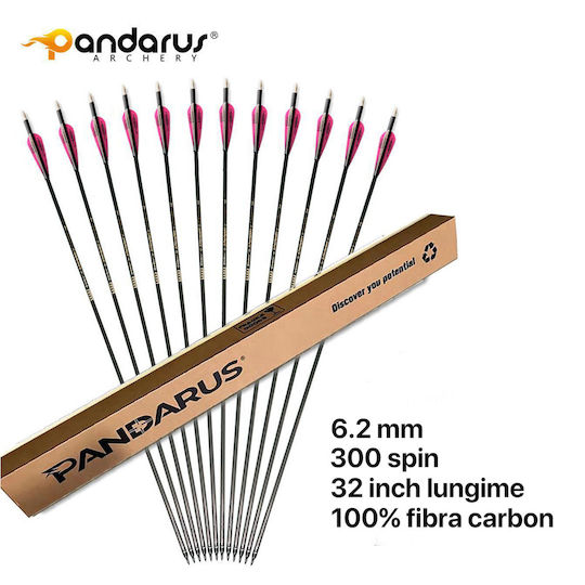 Set 9 Săgeți Arc Compus 6.2 Mm Tub Fibra De Carbon Spine 300 Lungime 32 Inch 27 Gr Săgeată Pandarus