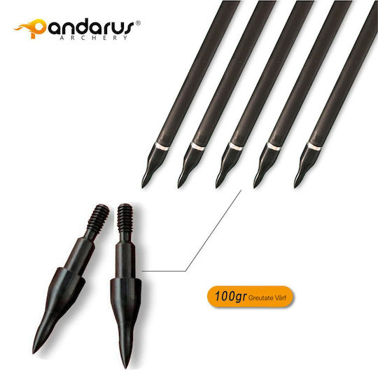 Set 3 Săgeți Arc Compus 6.2mm Ax Fibra De Carbon Spine 300 Lungime 32 Inch Pandarus