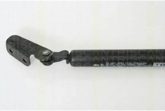 Triscan 8710 43222 Amortizor Portbagaj