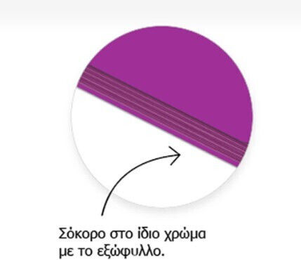 Metron Σπιράλ Τετράδιο Ριγέ 120 Φύλλων 4 Θεμάτων Μωβ