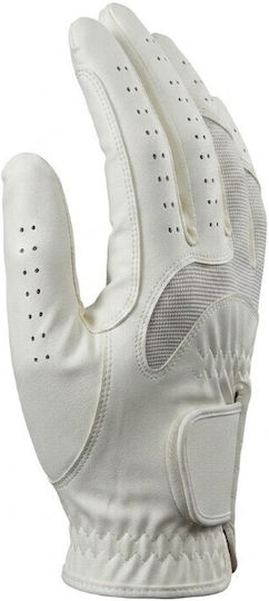 Palatino Riding Gloves