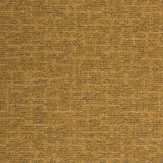 Βιοκαρπέτ Μοκέτα Elevado 160x240cm