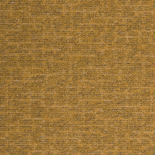 Βιοκαρπέτ Μοκέτα Elevado 160x240cm